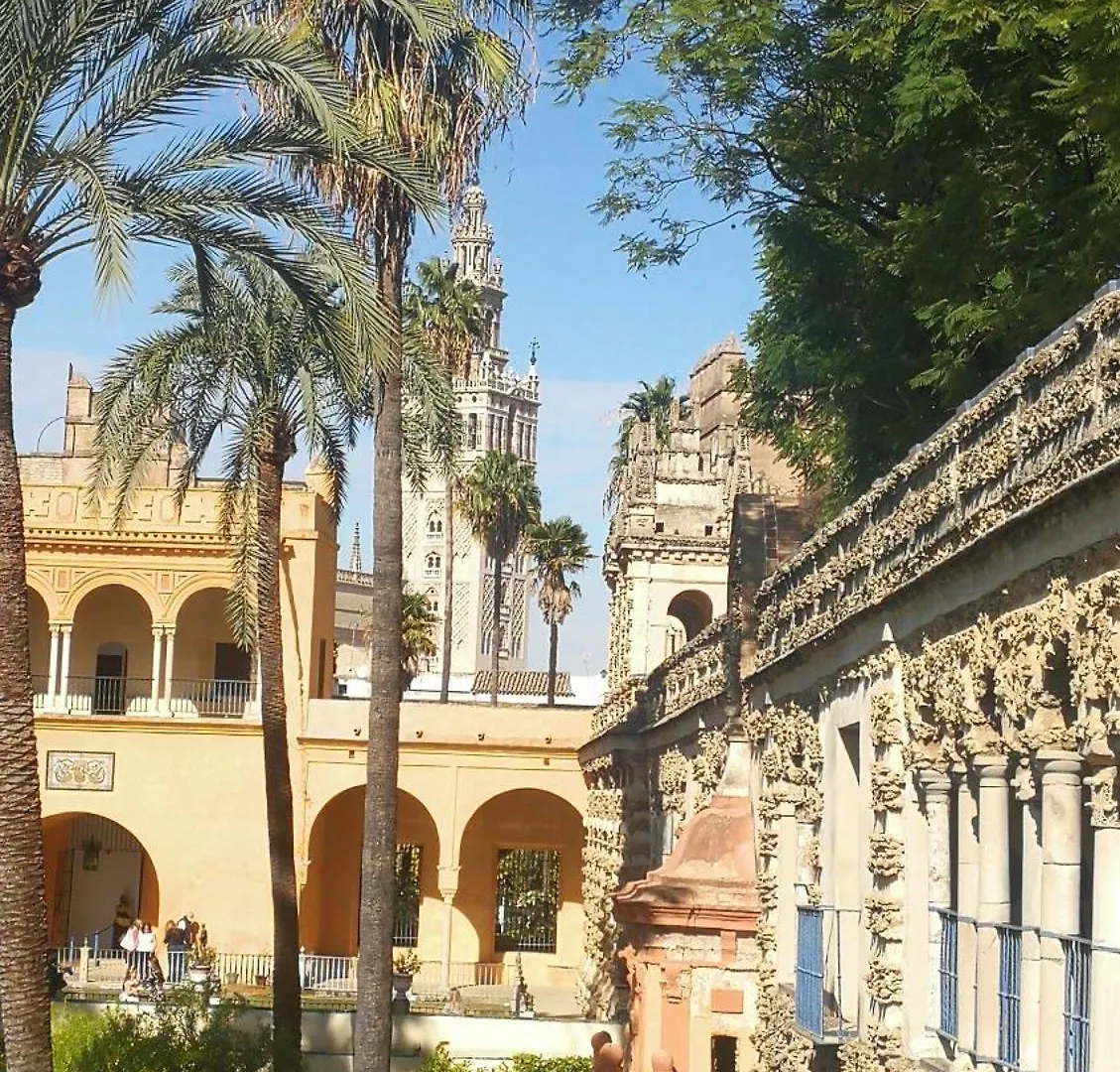Bed & Breakfast Apartamentos Flamenco B&B Seville