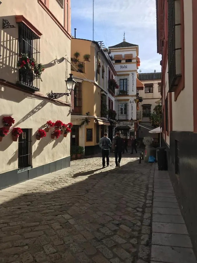 Apartamentos Flamenco B&B Sevilha 0*,