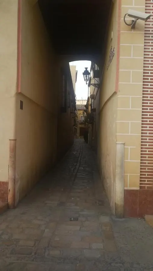 Alojamento de Acomodação e Pequeno-almoço Apartamentos Flamenco B&B Sevilha Espanha