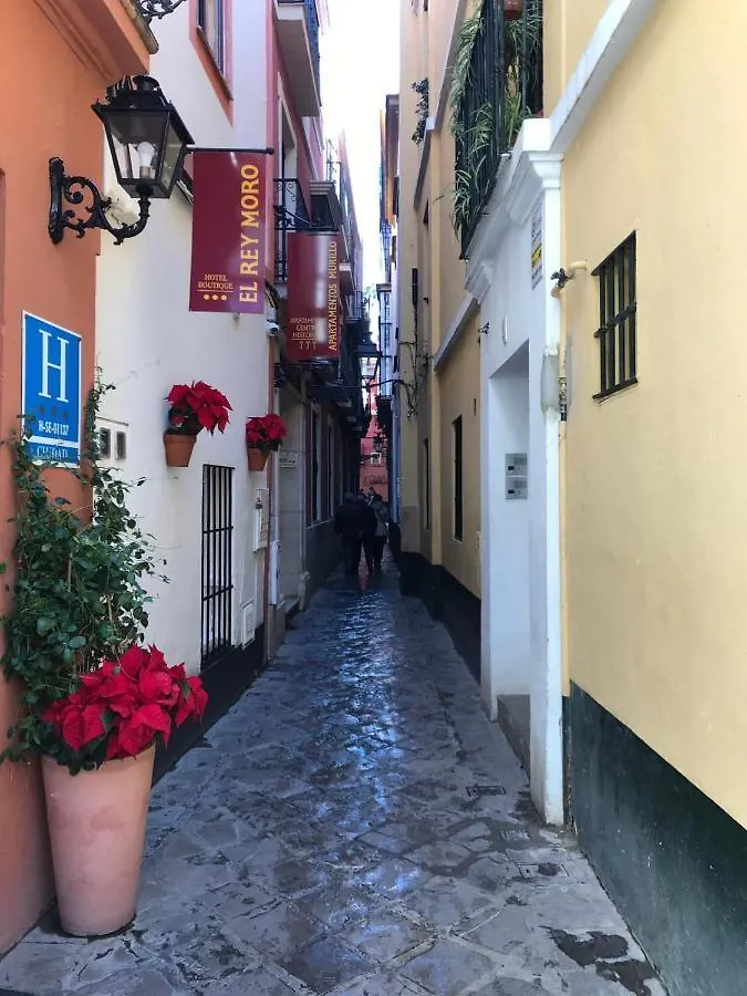Alojamento de Acomodação e Pequeno-almoço Apartamentos Flamenco B&B Sevilha Espanha