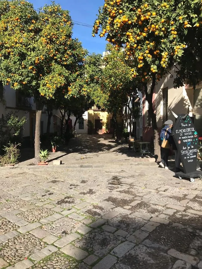 Alojamento de Acomodação e Pequeno-almoço Apartamentos Flamenco B&B Sevilha