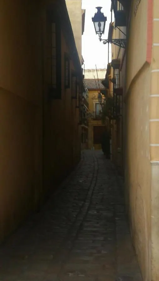إشبيلية Apartamentos Flamenco B&B 0*,  إسبانيا