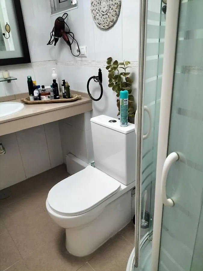 إشبيلية Apartamentos Flamenco B&B 0*,