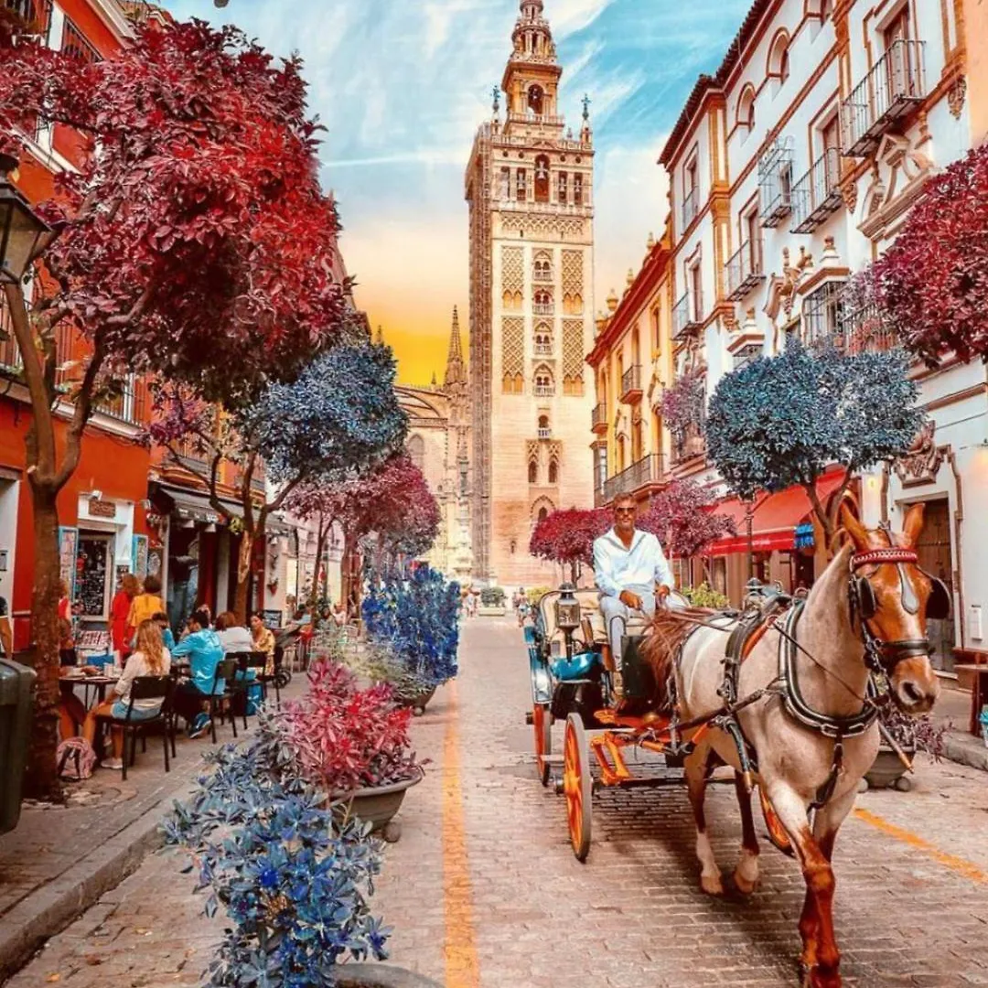 Alojamento de Acomodação e Pequeno-almoço Apartamentos Flamenco B&B Sevilha